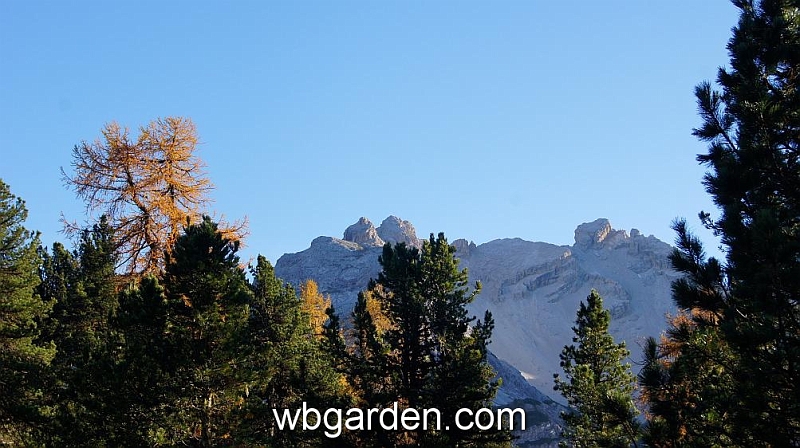 wbgarden alps 145.JPG